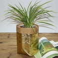 thumbnail image 1 of Big Sale ! Nomeni Home Textile Storage,Storage Case,Washable Kraft Paper Bag Plant Flowers Pots Multifunction Home Storage Bag Gold, 1 of 5