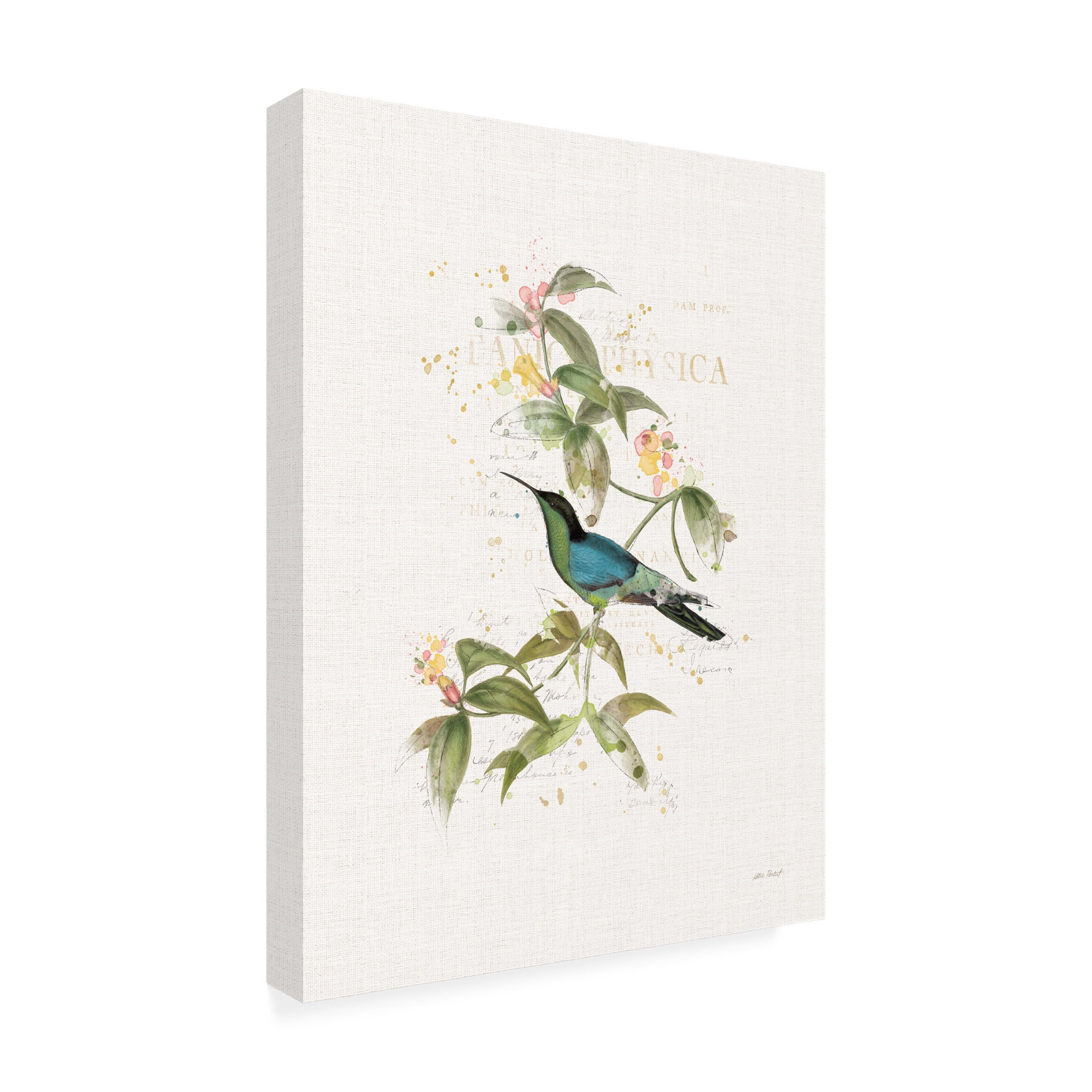 Katie Pertiet 'Colorful Hummingbirds IV' Canvas Art