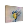 thumbnail image 2 of Trademark Fine Art 'Bluebird Yellow' Canvas Art by Angie Livingstone, 2 of 3