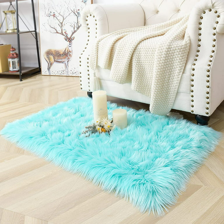 Lochas Fluffy Soft Shag Carpet Rug for Living Room Bedroom Big Area Rugs  Floor Mat, 3'x5',Turquoise Blue