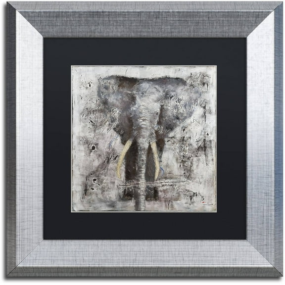 Trademark Fine Art "Wild Life" Canvas Art by Joarez, Black Matte, Silver Frame