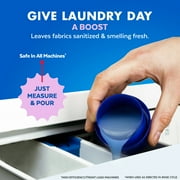 (2 pack) Lysol® Laundry Sanitizer Additive, Eliminates Odor Causing Bacteria, Lavender Fusion, 90 fl oz
