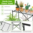 thumbnail image 5 of Gymax 2-Tier Stair Style Metal Plant Stand Flower Pot Display Holder Indoor & Outdoor, 5 of 10