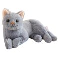 thumbnail image 1 of Juguete de peluche de gato gris puro de imitación de 12 pulgadas YUANXCMXG, 1 of 3