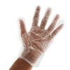 Royal Premium Disposable Poly Gloves, Small, 500 Ct