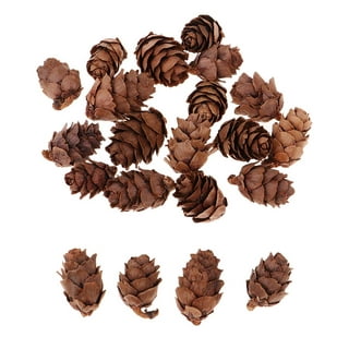 JOHOUSE 18PCS Snow Pinecone Ornaments, Large Spruce Pinecones Hanging  Pinecones for Decorating Natural Pine Cones for Christmas Tree Hanging
