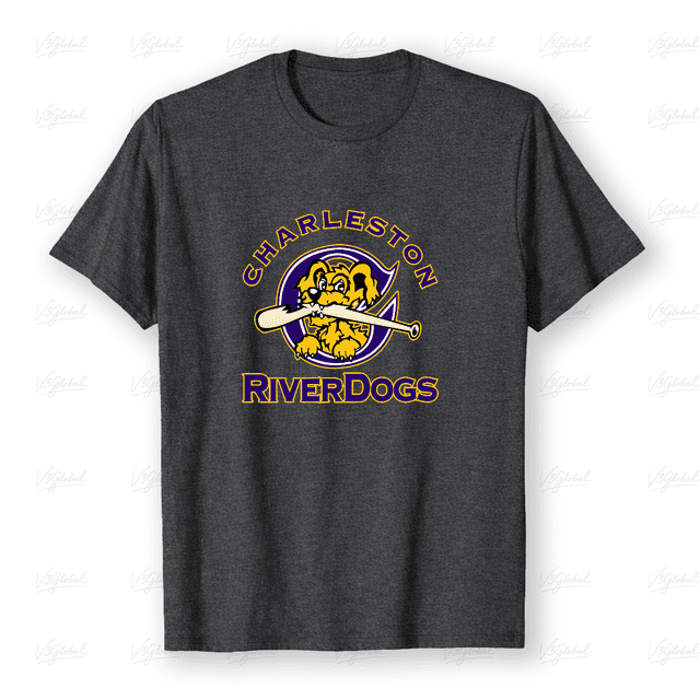 T-Shirt Unisexe Graphique Imprimé Classique Fan de l'Équipe de Baseball de Charleston, jusqu'à la Taille 5TG