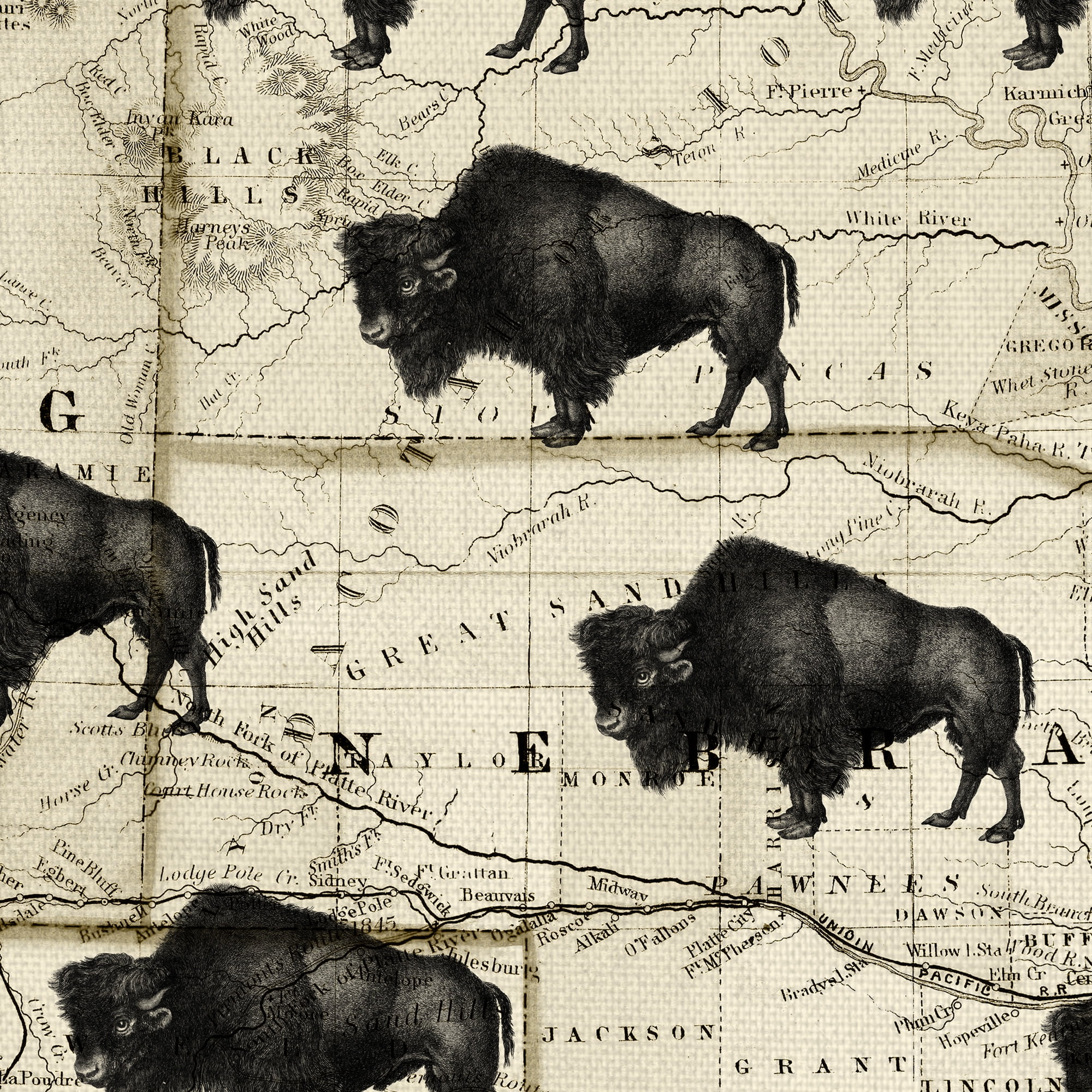 Masterpiece Art Gallery Where The Buffalo Roam Midwest Map By GI ArtLab Canvas Art Print 24" x 36"