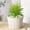 White A, variant on SHIMELE Artificial Plant Pot - Plastic Succulent Planter, Decorative Flower Pot for Indoor & Outdoor Use, Versatile Decorative Ornament, Easy to Clean