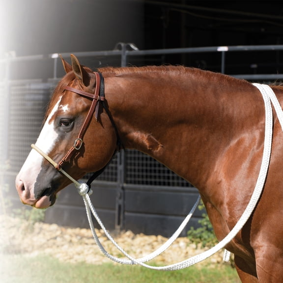 Professionals Choice Rawhide Rope Noseband Loping Hackamore w