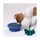 thumbnail image 4 of 2Pcs Spiral Slow Feeder Slow Feed Dog Bowl Pet Feeder Slow Feeder Pet Supplies Turn A Dog Bowl or Dog Dish, 4 of 5