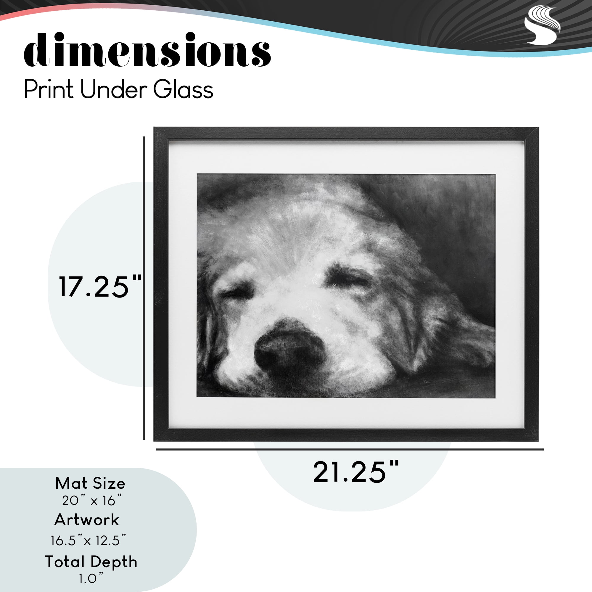 Stupell Industries Monochrome Dog Day Afternoon Black Framed Print Under Glass, design by Walt Johnson