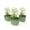 Green, variant on BUZZY Seeds Herb Buddy Self-Watering Herb Planter with Water Level Indicator – Indoor Kitchen & Windowsill Planter (Green)