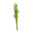 thumbnail image 5 of CoudarTitie Artificial Simulation Vegetable Photography Prop Kitchen Display Home Decor Fake Celery 39x5cm, 5 of 9