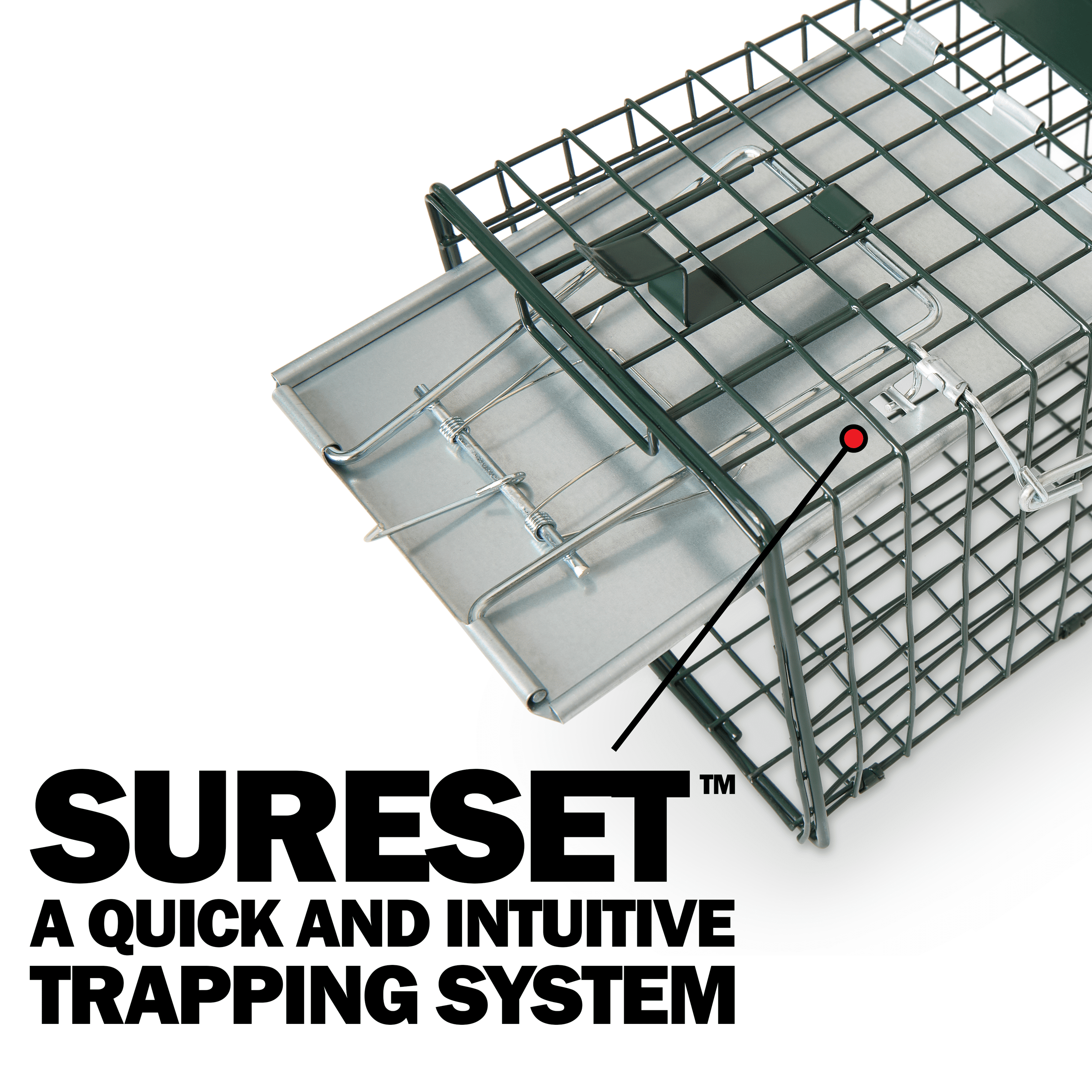 Humane Way SENTINEL 24 Inch Live Animal Trap - No Assembly Required - Safe Small Traps for All Animals - Cat, Squirrel, Rabbit, Rodent - 24"L x 7.5"W x 7.5"H