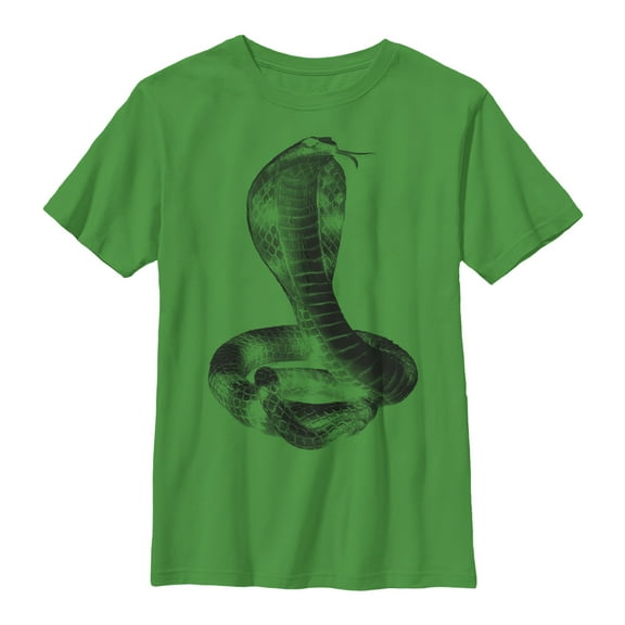 Boy's Lost Gods Coiled Cobra  Graphic Tee Kelly Green X Large
