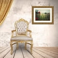 thumbnail image 3 of Margau, Delphine 14x12 Gold Ornate Wood Framed with Double Matting Museum Art Print Titled - Spirit of the fields, 3 of 4