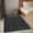 Black, variant on Eileen Farmhouse Charcoal Gray Area Rug 20" x 30" Rectangle