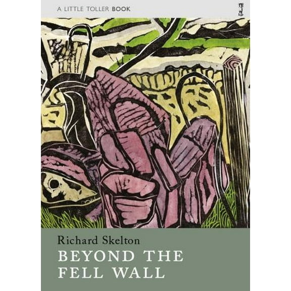 Beyond the Fell Wall Richard Skelton (Paperback)