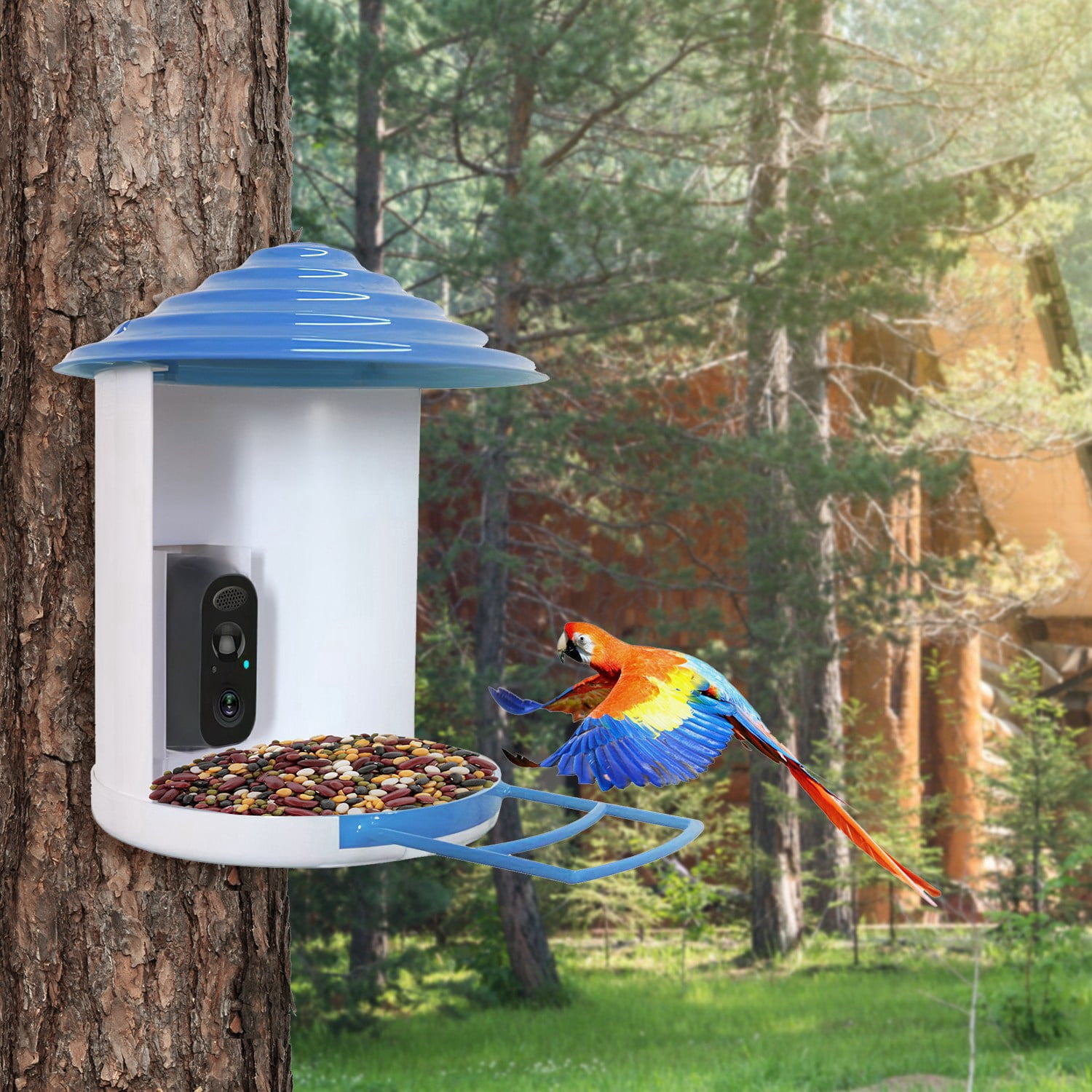 Smart Bird Feeder with Camera Identify 11,000+ Bird Species & 1080P HD Solar-Powered Wireless Outdoor Bird Feeder, App iCam365 & Two-Way Audio for Garden Bird Watching