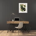 thumbnail image 3 of Vintage Apple Collection 26x30 White Modern Wood Framed Museum Art Print Titled - White Crowned Pigeon, 3 of 4