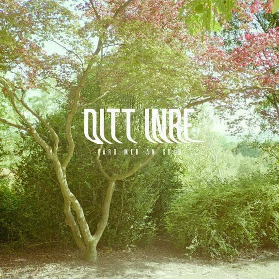 Ditt Inre - Vard Mer An Guld - Rock - Vinyl