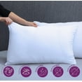 thumbnail image 2 of Almohadas 2 Pack Estándar Microfibra, 2 of 4