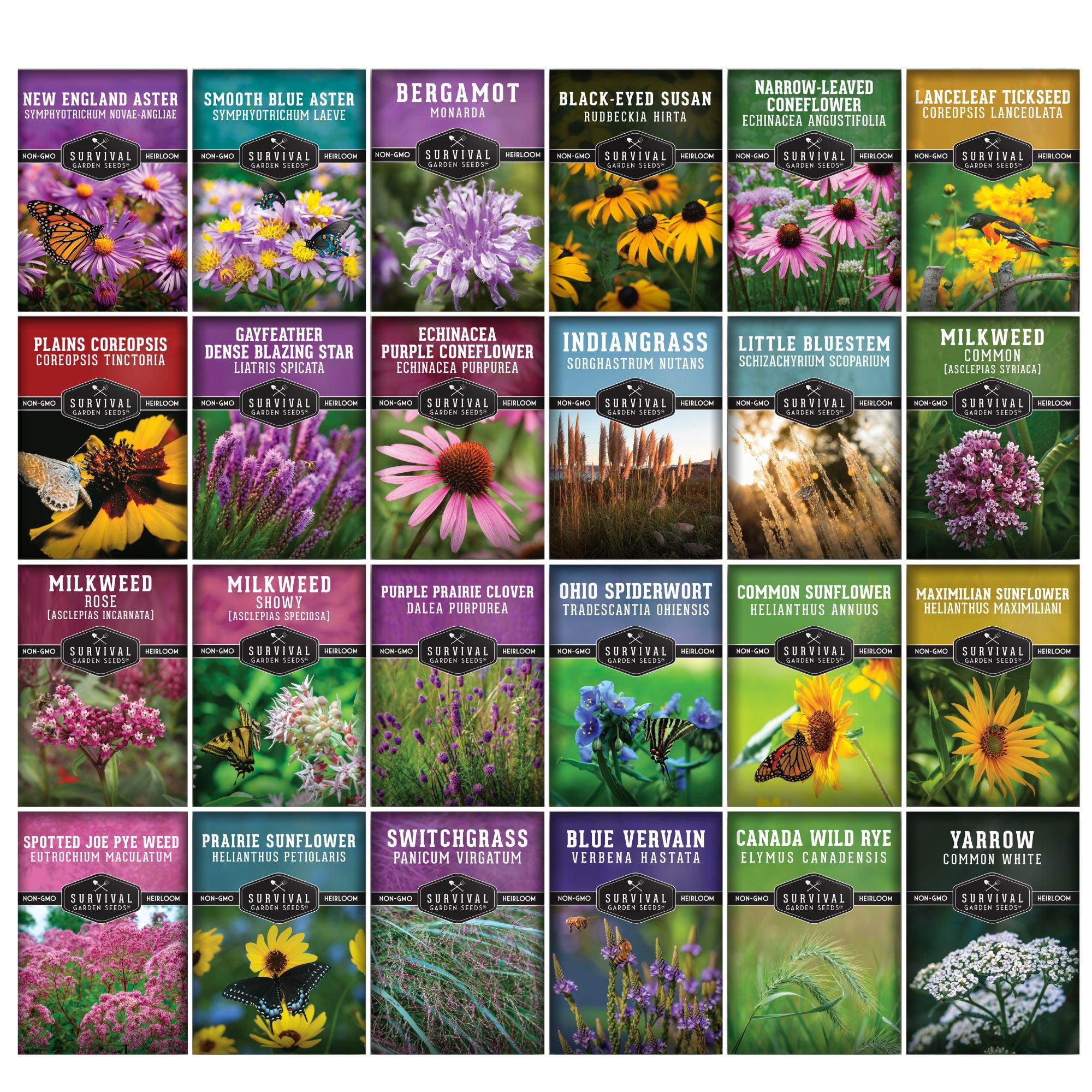 24 Native Flower Seeds - Wildflowers & Ornamental Grasses - Attracts Bees - Zone 3-10