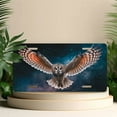 thumbnail image 4 of Flying owl Funny Personalized License Plate Rust-proof Stainless Steel Metal License Plate Suitable For Men And Women 12.2" x 6.2", 4 of 6