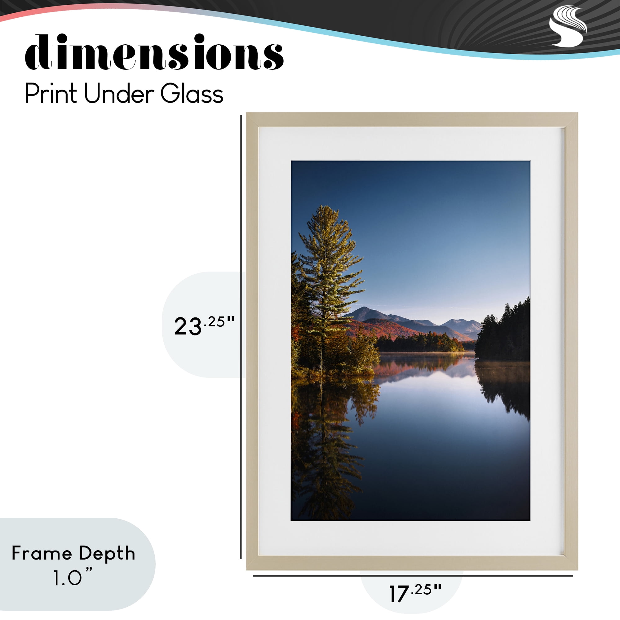Stupell Industries Autumn Morning Wilderness Birch Framed Print Under Glass, design by Jonathan Zaharek