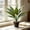 A, variant on Partheme Artificial Potted Plants for Indoor Use. Realistic Fake Plant with Pot for Living Room Office Bedroom Home Decor. 14 Inch PVC No Watering Needed, E