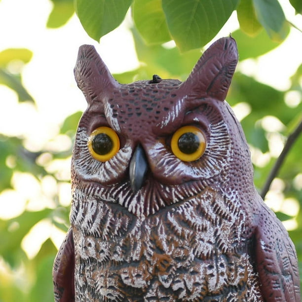 Owl Decoy, Owls, Outdoor Owl Statue, Garden crows, Garden Decoy