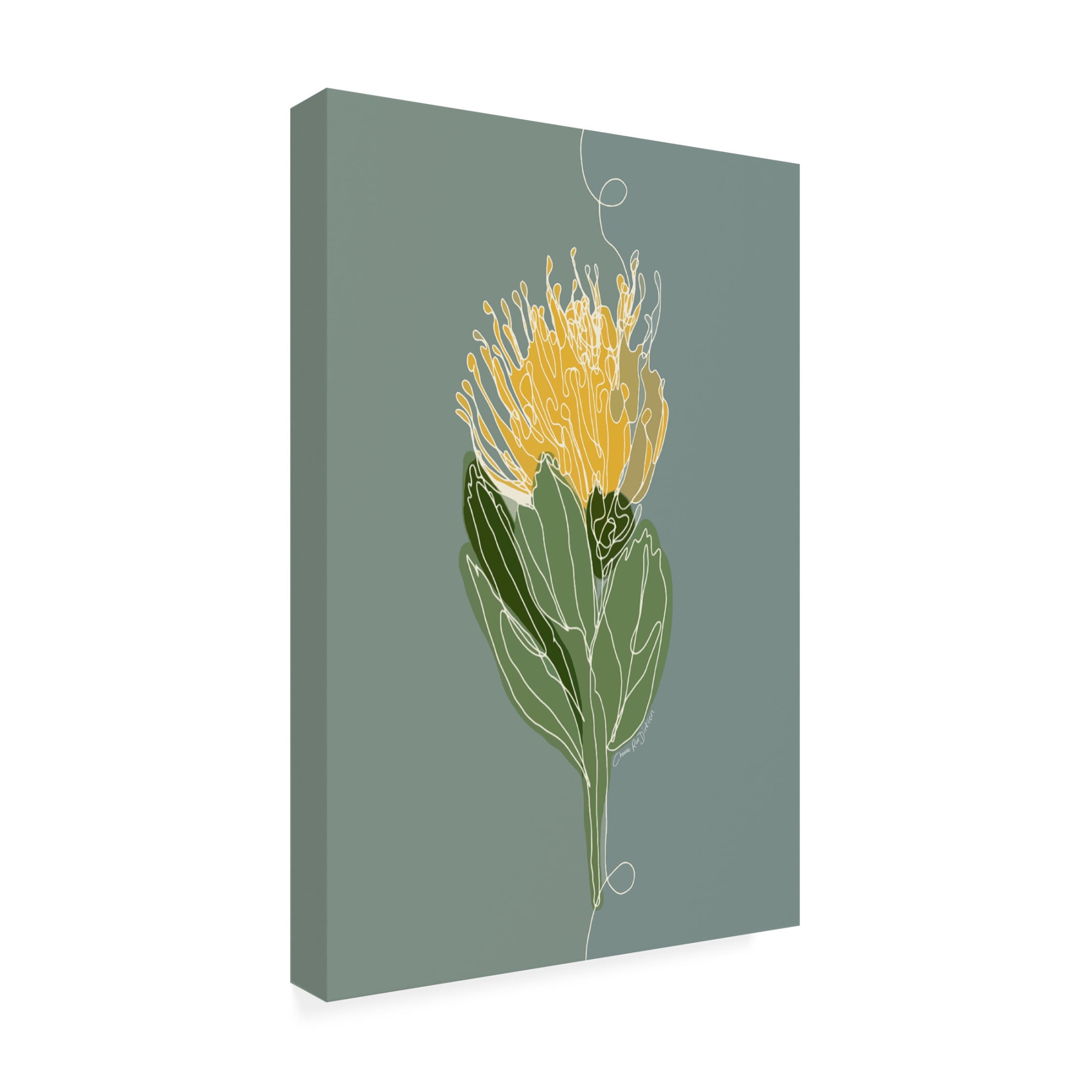Canvas Wall Art - Cherie Roe Dirksen 'Yellow Pincushion Protea' Wall Art for Living Room, Bedroom, or Office Décor by Trademark Fine Art - 22 x 32 Inches