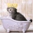 thumbnail image 2 of Gorro de baño impermeable con protección para los oídos para ducha de mascotas, suministros para mascotas perros y gatos, 2 of 5