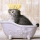 thumbnail image 4 of Gorro de baño impermeable con protección para los oídos para ducha de mascotas, suministros para mascotas perros y gatos, 4 of 7