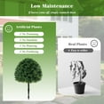 thumbnail image 3 of Holloyiver Artificial Topiary Ball Tree Set of 2,Artificial Boxwood Topiary Ball Bush for Outdoor with Spike,Weatherproof Fake Round Topiary Shrub Plant for Front Porch Planter for Home Office, 3 of 6