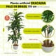 thumbnail image 2 of Planta artificial decorativa Artego Dracaena Palo de Brasil grande 170cm para hogar sala comercio oficina, 2 of 8