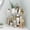 Light, variant on Norcho 3-Tier Corner Countertop Organizer for Bathroom & Vanity, Green