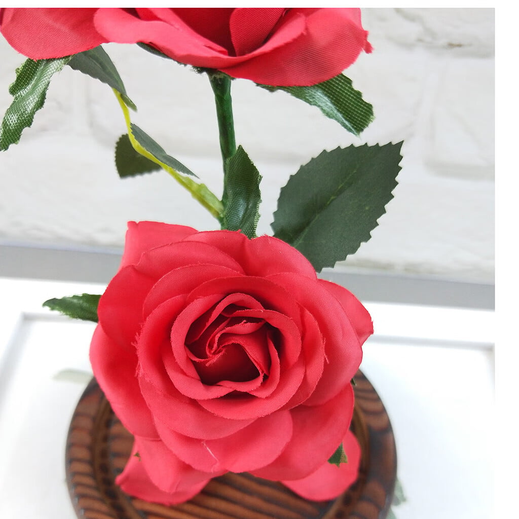 RKSTN Real Rose Acrylic Eternal Flower Forever Beautiful Love Handmade Gift  for Mother Woman Girlfriend Valentine's Day Home Decor Lightning Deals of  Today - Summer Savings Clearance on Clearance 