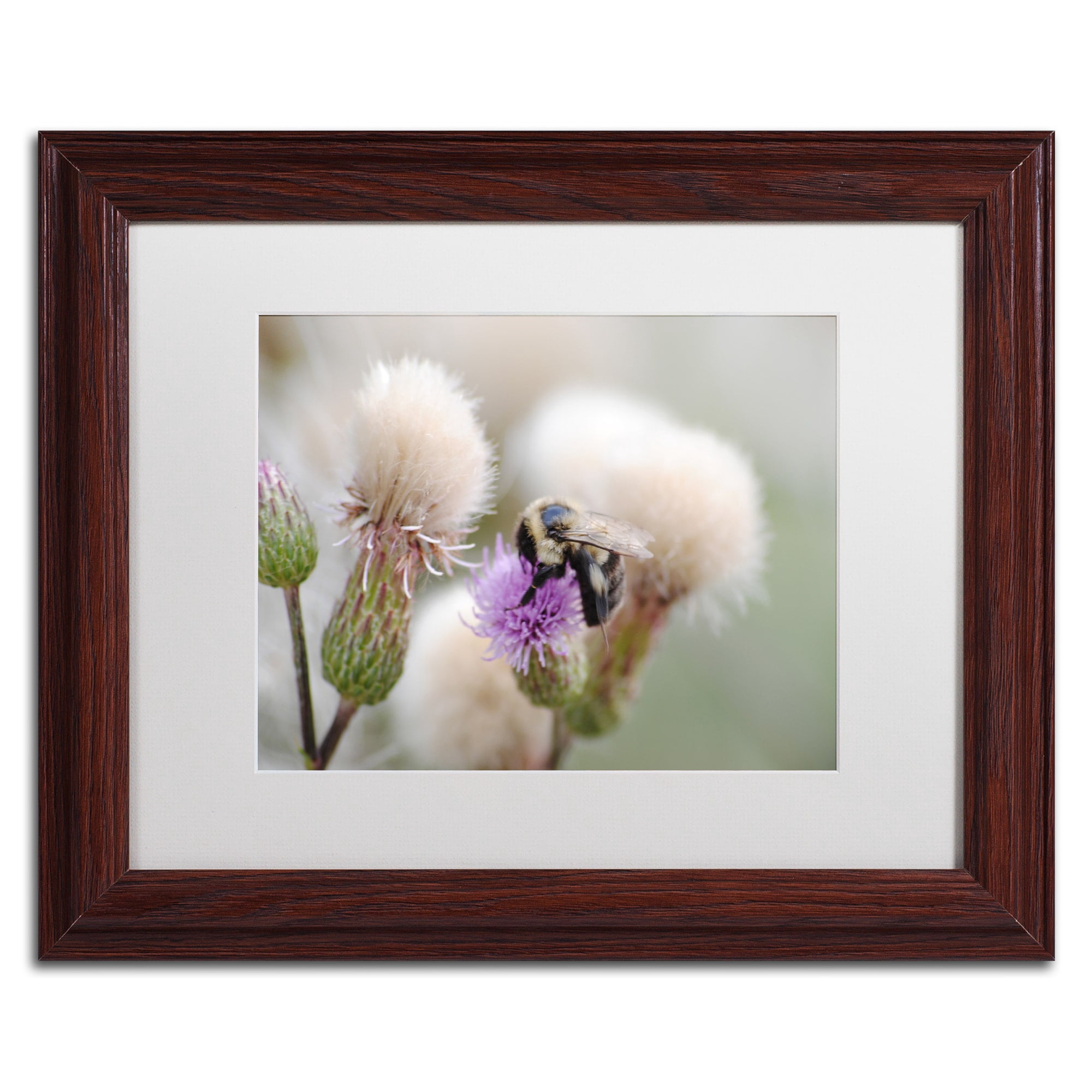 Trademark Fine Art "Defeated" Canvas Art by Monica Mize, White Matte, Wood Frame