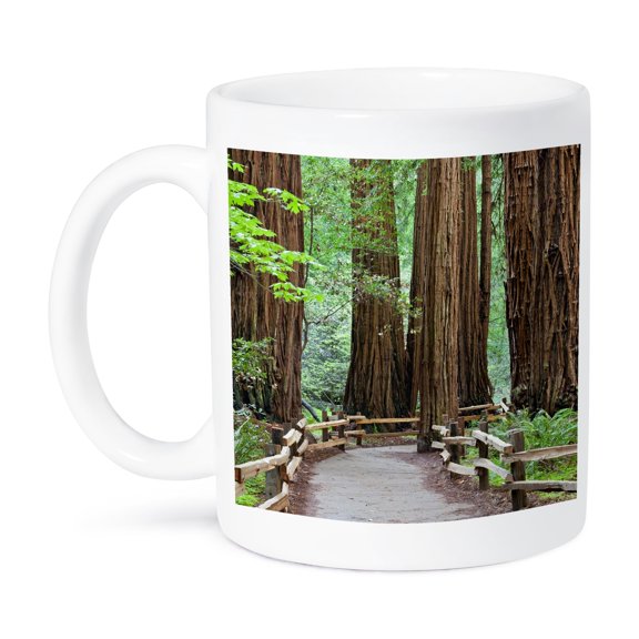 3dRose, USA, California. Trail through Muir Woods NM in springtime., 15oz Mug