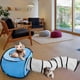 thumbnail image 3 of tunel de gato Paquete de túnel y cubo de juguete para gatos, tubo plegable interactivo arrugado y área de juegos de cubo plegable para mascotas, gatos y cachorros Zhivalor 220478-1, 3 of 4