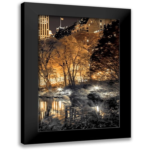 Frank, Assaf 11x14 Black Modern Framed Museum Art Print Titled - Central Park Glow III