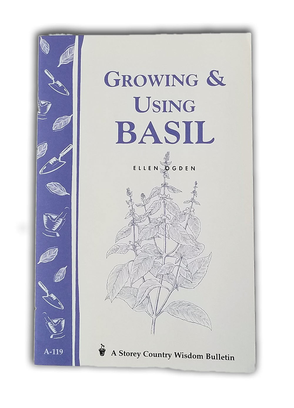 Sustainable Seed Company Herb Seed Collection 5 Variety Basil Plant Seeds, Easy To Grow