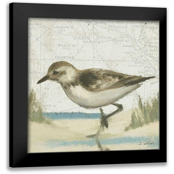 Wiens, James 12x12 Black Modern Framed Museum Art Print Titled - Beach Bird IV