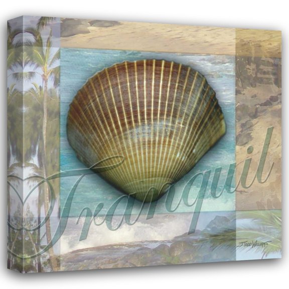 Todd Williams 15x15 Gallery Wrapped Canvas Wall Art Titled - Tranquil Shell