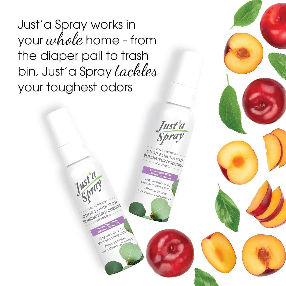 Just'a Spray Éliminateur d'odeurs gênantes, Délices de minuit, 55 ml, Vaporisateur avant utilisation de la cuvette