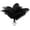 Black, variant on 20Pcs White Ostrich Feathers 10-12 inch (25-30cm) Bulk Feathers for Home Decoration and DIY Clothes Decoration, Gatsby Decorations