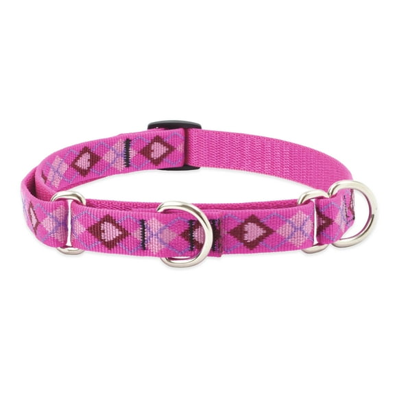 LupinePet Originals 3/4" Puppy Love 14-20" Martingale Collar for Medium and Larger Dogs