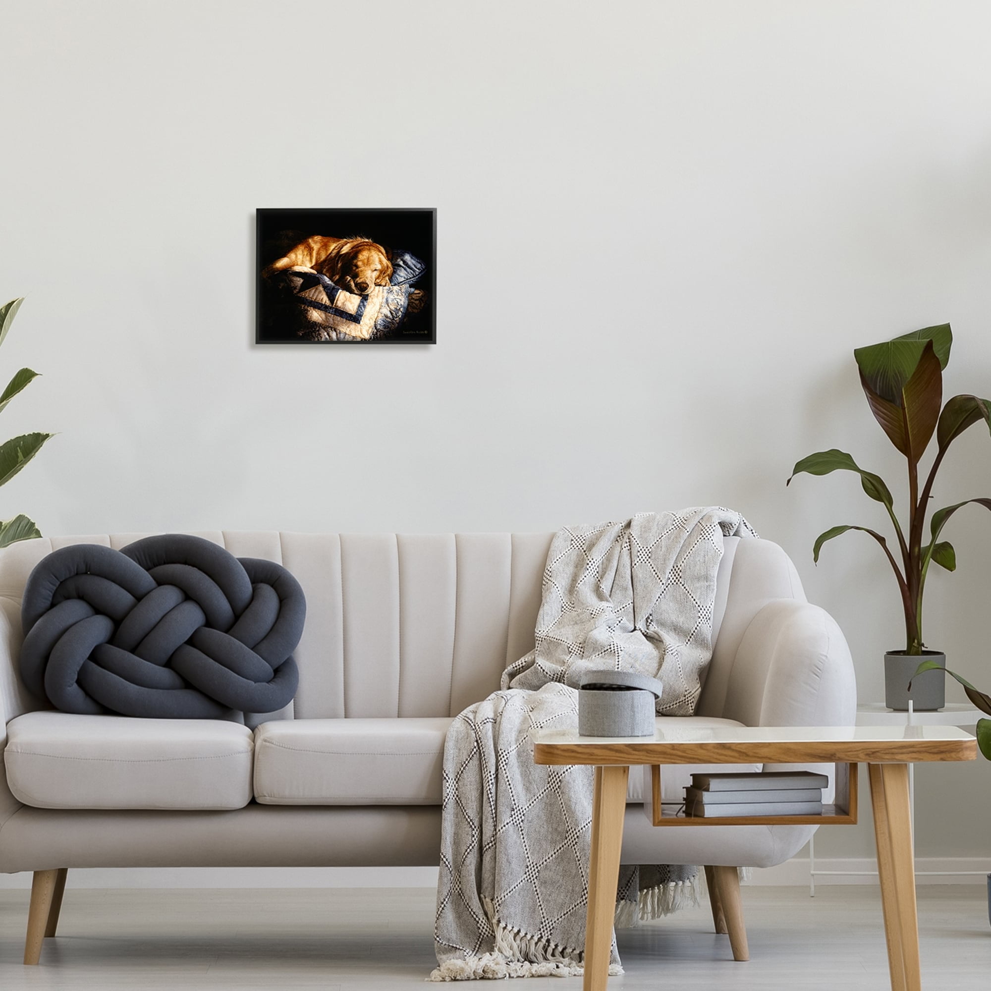 Stupell Industries Cozy Dog Sleeping Quilt Animal Animals & Insects Painting Black Framed Art Print Wall Art